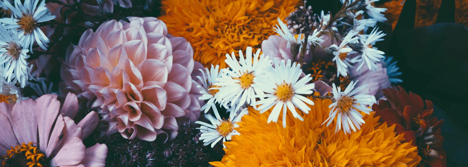 Studio rangkaian ZeeFlorist